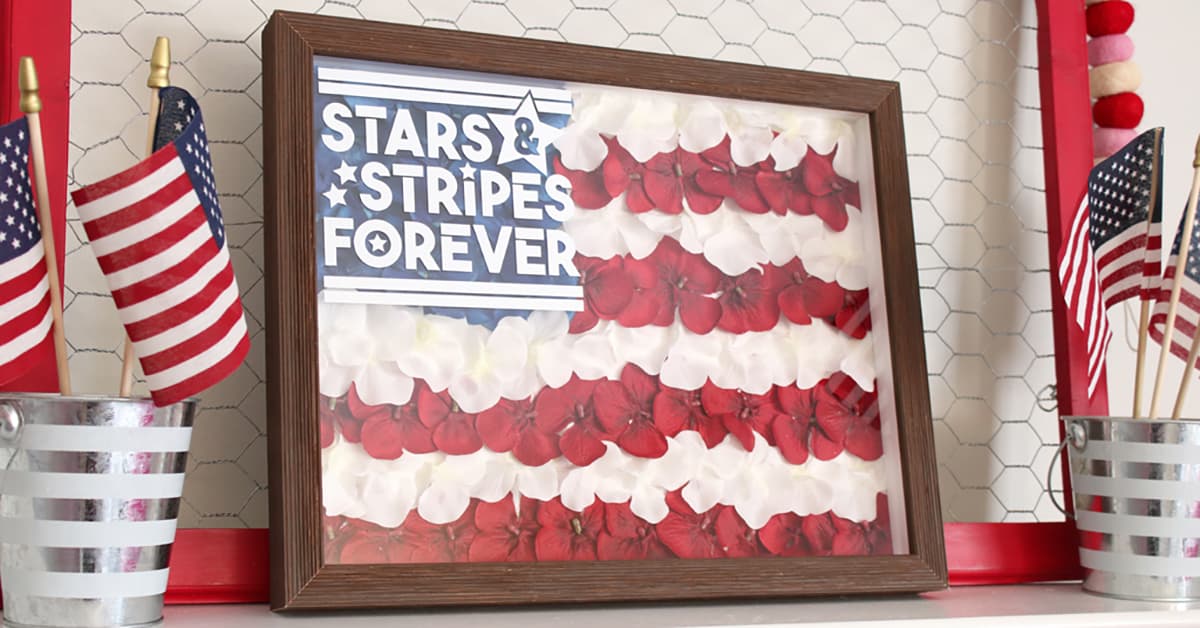 Charcoal Satin Deep Shadowbox frame displaying preserved rose petals arranged in American flag stripes with Stars and Stripes Forever patriotic tribute text. Custom 1 inch wide picture frame with 1 inch depth designed for patriotic floral art, Veterans Day tributes, and Fourth of July keepsake displays. Deep shadowbox frames perfect for preserved flower arrangements, military family décor, and holiday floral preservation.